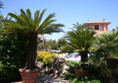 GARDEN DESIGN SWIMMING POOL Stefano Scarani Designer 081
