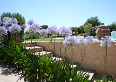 GARDEN DESIGN SWIMMING POOL Stefano Scarani Designer 085