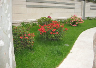 LANDSCAPE DESIGN Stefano Scarani Designer 160